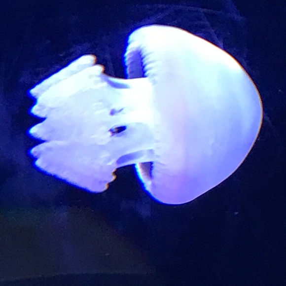 brianapr